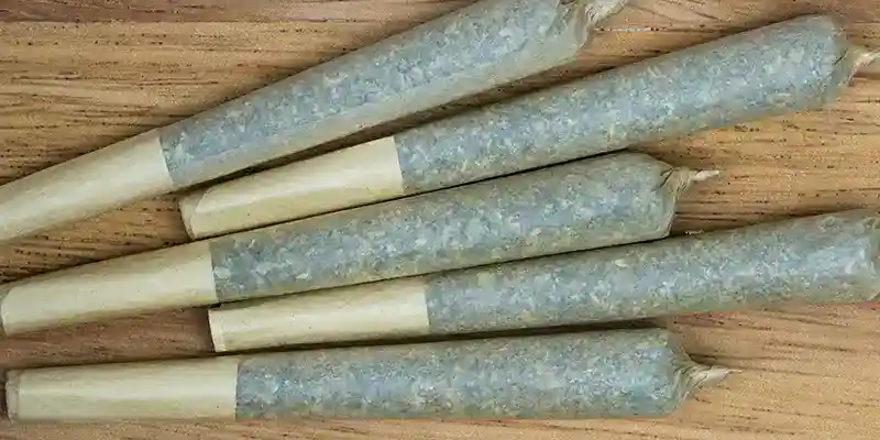 Kosa PreRolls